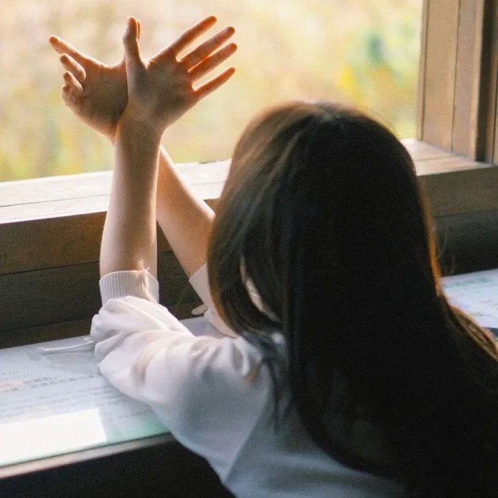 天降暖暖照柳时